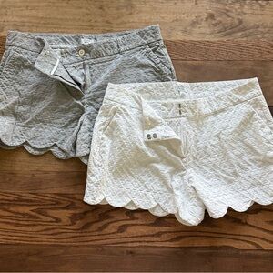 crown & ivy Women's Scalloped Hem Shorts - Light Gray and White